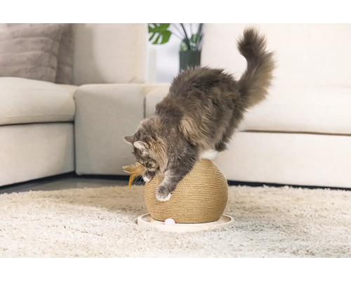 Chat jouant avec une balle à gratter dans un salon.