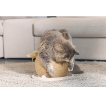 Chat sur un arbre à chat avec jouet