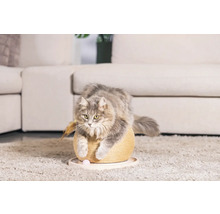 Chat sur un arbre à chat avec jouets dans un salon