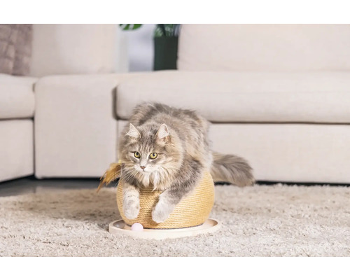 Chat sur un arbre à chat avec jouets dans un salon