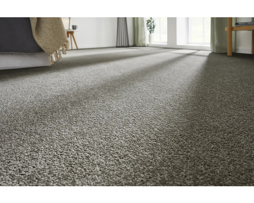 Nahaufnahme eines Wohnraums mit Teppichboden.