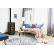 Salon avec poêle à bois, canapé et tapis pour une atmosphère chaleureuse