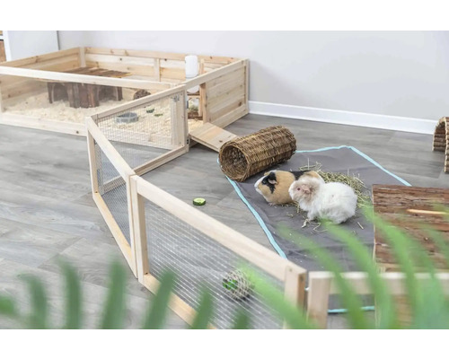 Photo d''intérieur d''un enclos à cochons d''Inde avec trois cochons d''Inde, des cabanes, un tunnel et de la nourriture