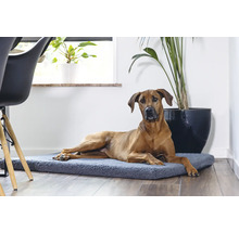 Hundekissen beeztees Orthopädisches Kissen Ito 121 x 78 cm dunkelgrau