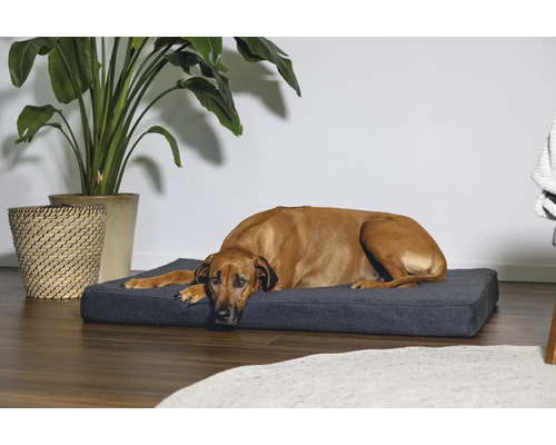 Chien allongé sur un lit pour chien dans une pièce lumineuse.