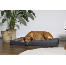 Un chien marron se repose sur un lit pour chien gris dans une pièce lumineuse.