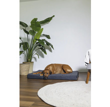 Un chien marron se repose sur un lit pour chien gris dans une pièce lumineuse.
