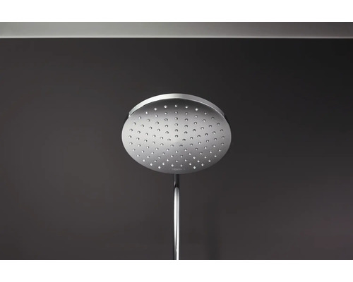 Pomme de douche de tête ronde en métal avec bras de douche