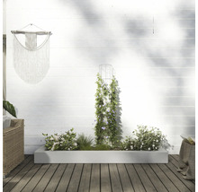 Aussenbereich mit bepflanztem Pflanzkasten, Rankhilfe und Wanddekoration