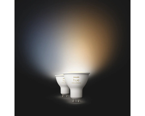 Deux ampoules Philips Hue White Ambiance