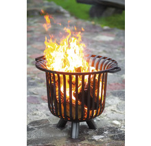 Brasero en métal avec bois et flammes