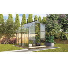 Serre de jardin avec plantes et fleurs