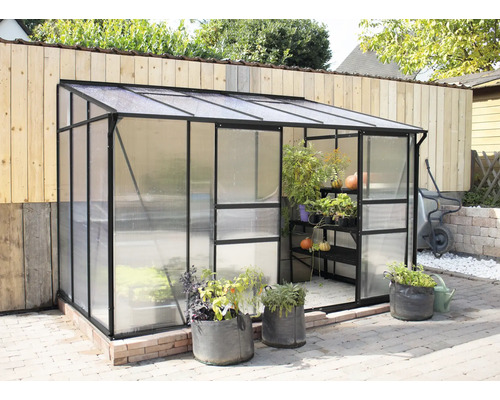 Serre avec plantes et outils de jardin à l''extérieur.