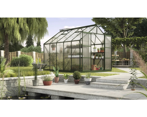 Serre de jardin avec plantes et accessoires de jardin.