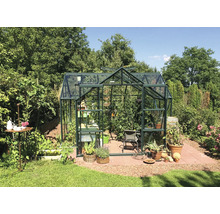 Serre Vitavia Sirius verre de sécurité trempé 3 mm 383x383 cm verte