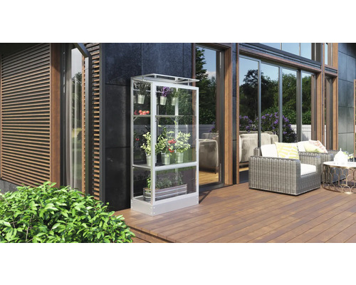 Serre avec plantes sur une terrasse