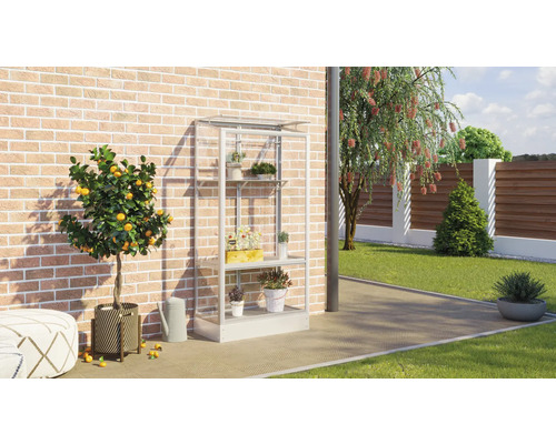 Scène de jardin avec étagère de serre, citronnier et accessoires