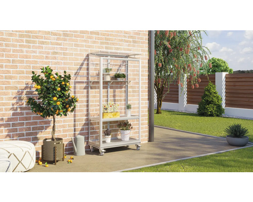 Gartenszene mit Pflanzenregal, Zitronenbaum und Gartendeko