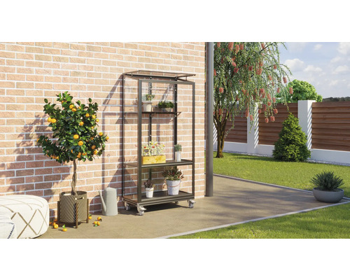 Aussenszene mit einem Pflanzenregal aus Metall mit Pflanzen auf Rollen