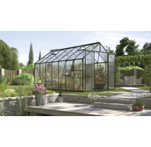 Serre de jardin avec étagères à plantes et outils de jardinage.