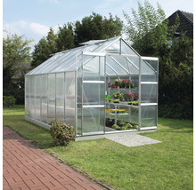 Gewächshaus im Garten mit Pflanzenregalen