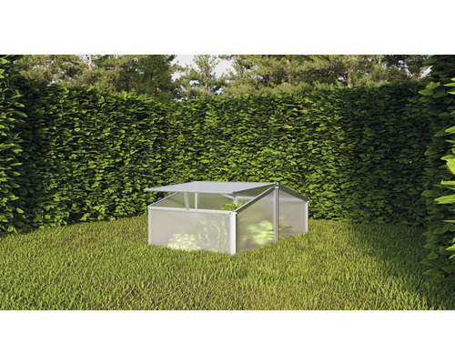 Serre de jardin avec fenêtre de toit ouverte