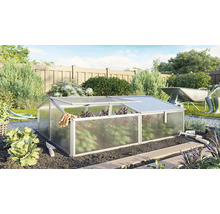 Gewächshaus im Garten mit Gartengeräten und Schubkarre