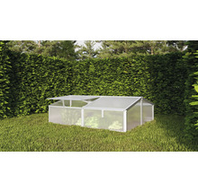 Gewächshaus aus Aluminium und Kunststoff im Garten