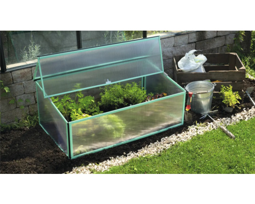 Châssis de culture avec plantes dans le jardin