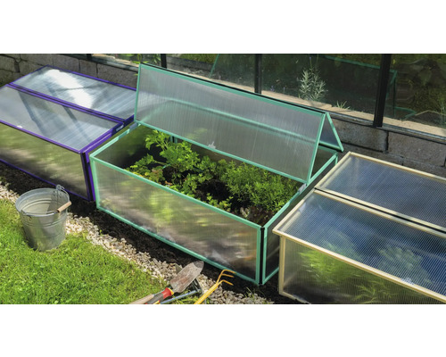 Plusieurs châssis de couche dans le jardin avec des légumes et des outils de jardinage.