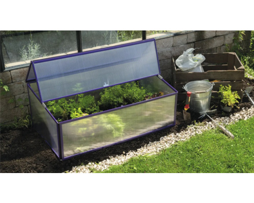 Frühbeet mit geöffnetem Deckel und Bepflanzung im Garten