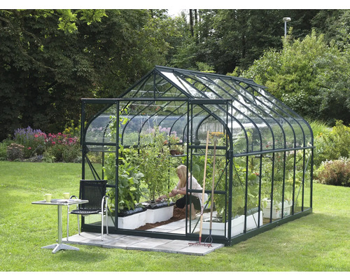 Gewächshaus mit Glas und Pflanzen im Garten