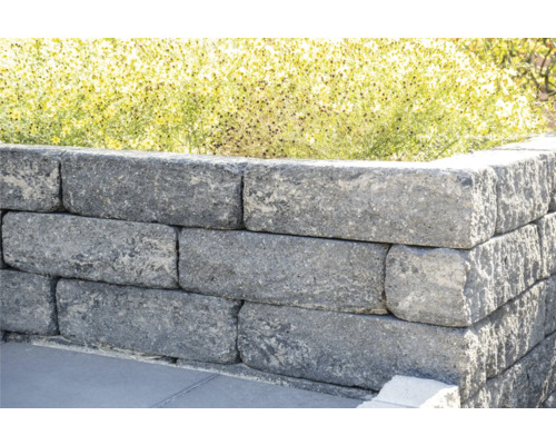 Pierres de mur de jardin grises empilées avec des plantes