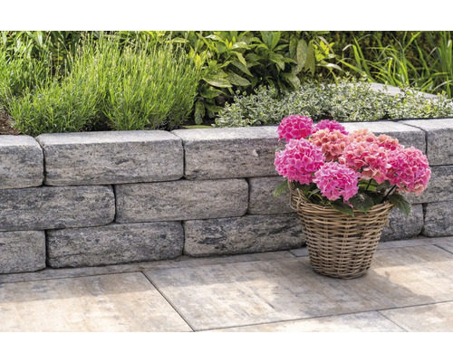 Mur de jardin avec plantes et fleurs dans un panier