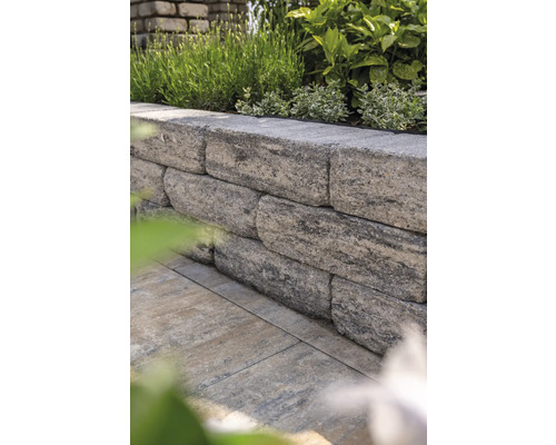 Pierres de mur de jardin empilées avec plantation