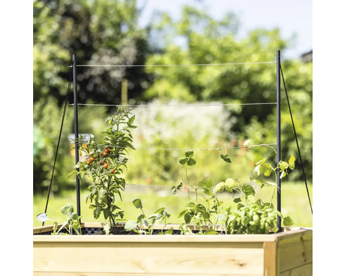 Jardinière surélevée avec support pour plantes et différents légumes