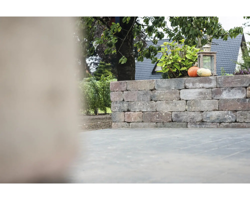 Mur en briques avec des citrouilles et une lanterne dans le jardin