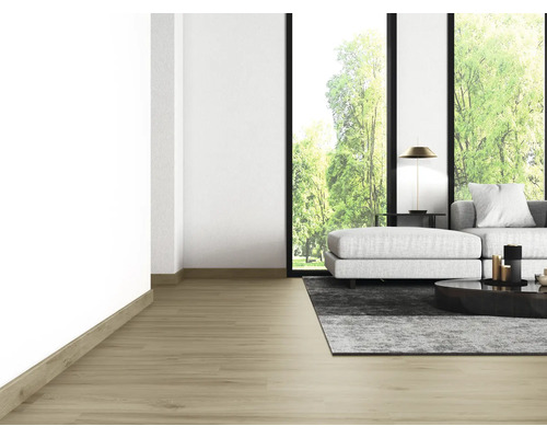 Salon avec plancher en bois, canapé, tapis et fenêtres