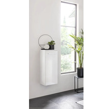 Meuble suspendu dans une salle de bains avec décoration et plante d'intérieur