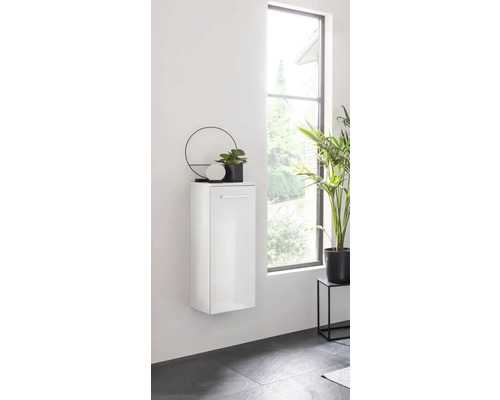 Meuble suspendu dans une salle de bains avec décoration et plante d'intérieur