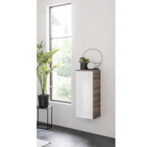 Salle de bains avec un meuble haut suspendu en blanc et aspect bois, décoré d'une plante et d'un objet décoratif.