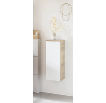 Hängeschrank mit einer Tür im Badezimmer