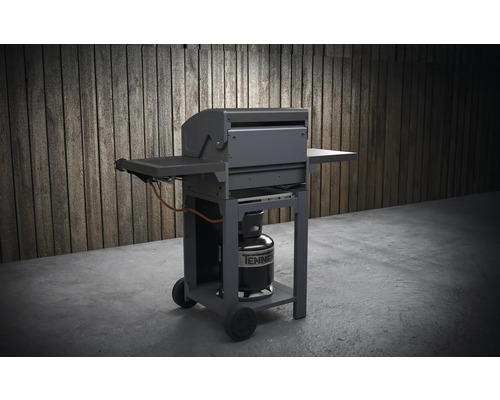 Gril à gaz avec surfaces de rangement et bouteille de gaz