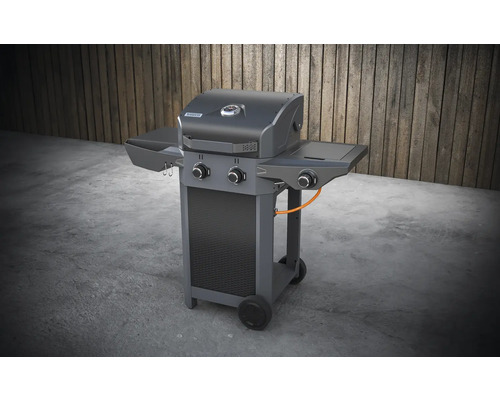 Grill à gaz avec étagères et roulettes