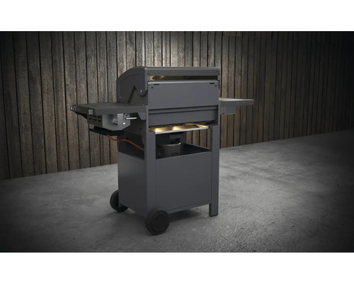 Barbecue à gaz avec surfaces de rangement et roulettes