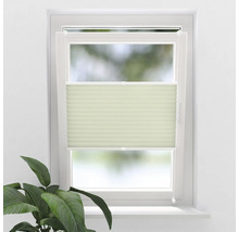 Fenêtre avec store plissé pour la régulation de la lumière