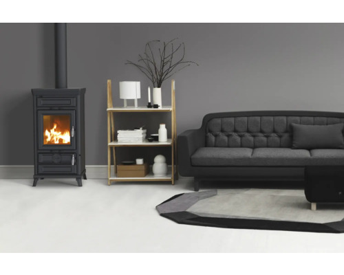 Wohnzimmer mit Kaminofen, Regal und Sofa