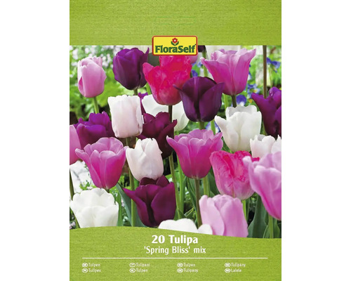 Blumenzwiebel Tulpe Mix FloraSelf 'Spring Bliss' 20 Stück