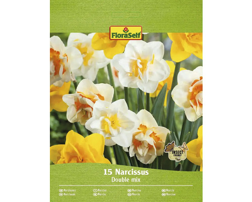 Blumenzwiebel Narzisse FloraSelf ' Gefüllte Mischung ' 15 Stück