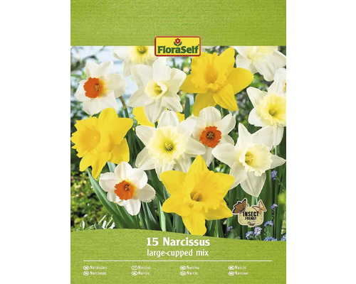 Blumenzwiebel Narzisse FloraSelf ' Mischung ' 15 Stück